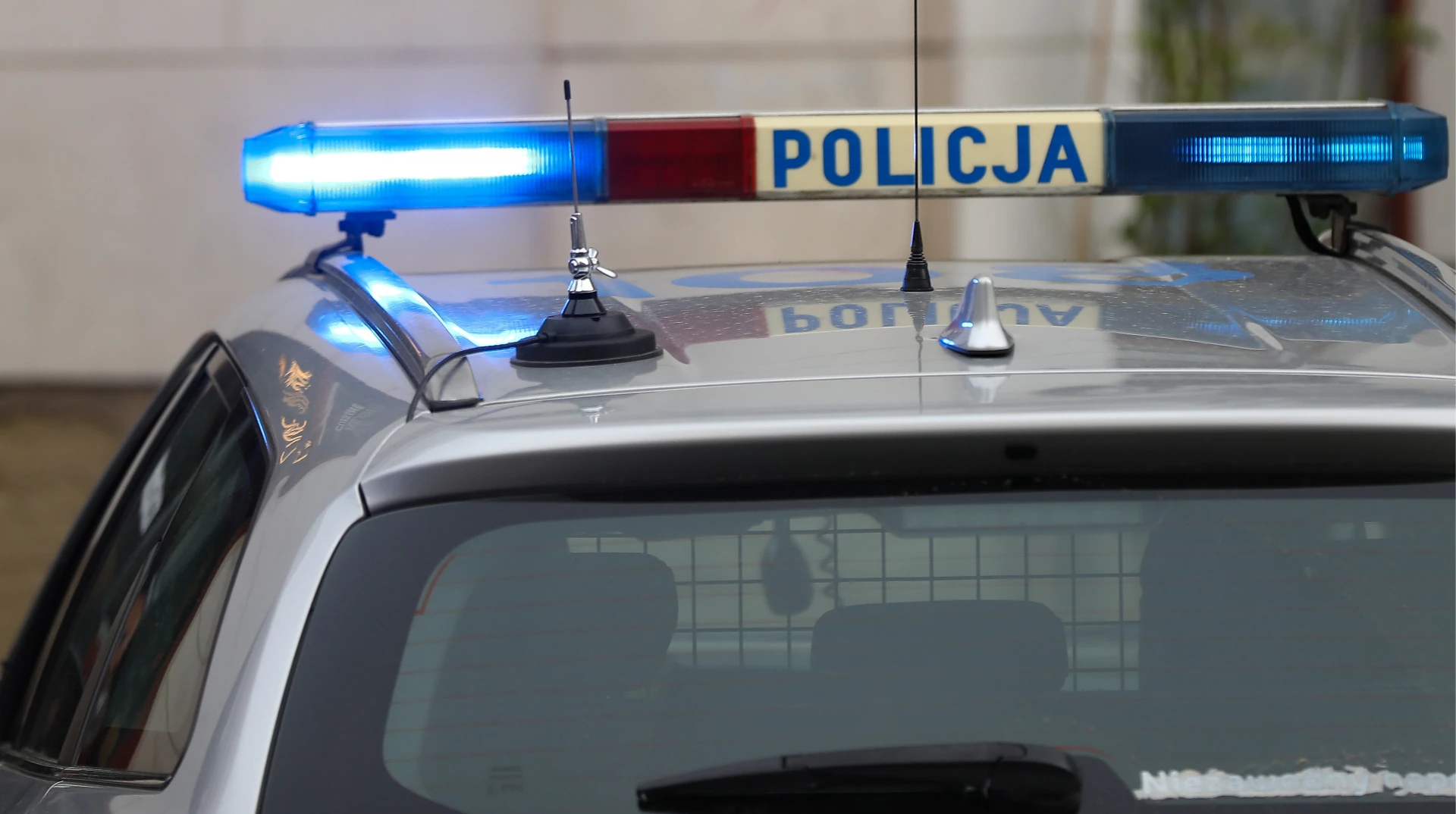 Територія присадибних ділянок на вулиці Модра у Гданську
