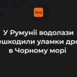 Водолази-сапери ВМС Румунії біля узбережжя Чорного моря в районі Гріндул-Чітук